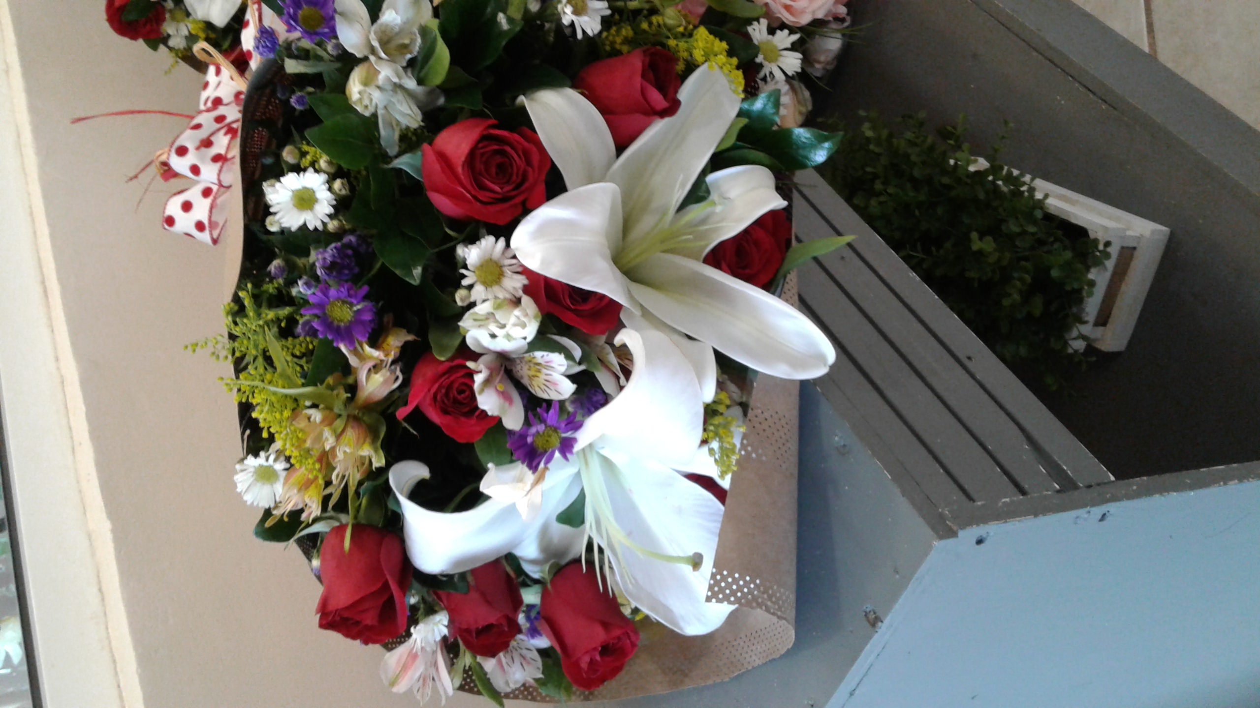 IMG-20190111-WA0025.jpeg