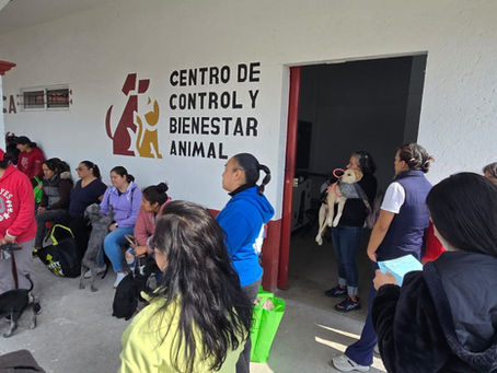 Exitoso arranque de la extensión nororiente del Centro de Control y Bienestar Animal, iniciativa impulsada por Ricardo Moreno