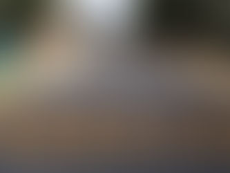 Avanza Toluca en la integración del Atlas Digital de Arbolado Urbano: Ricardo Moreno