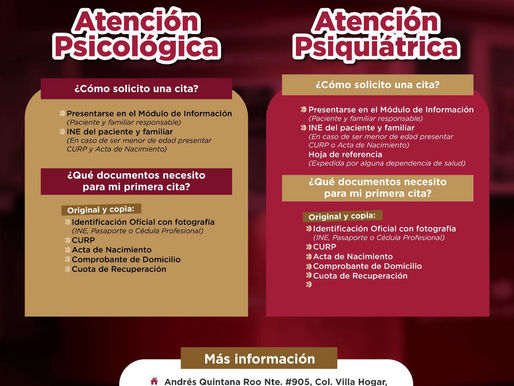 Procura Gobierno de Delfina Gómez cuidado emocional de grupos vulnerables del EdoMéx en la Clínica de Salud Mental “Ramón de la Fuente”