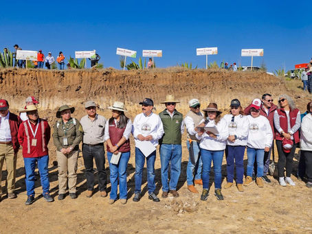 Gobierno del EdoMéx celebra el “Día del Amor y la Amistad por el Bosque” con jornada de reforestación en nueve municipios