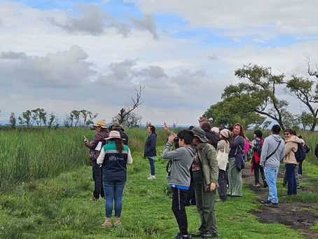 ¡Conoce las aves que habitan en el Valle de Toluca! El Gobierno del EdoMéx te invita a un avistamiento en el Parque Matlazincas