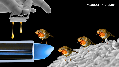 Birds ART.png