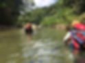 Trek jungle Darien.jpeg
