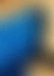 Christophe Drochon, Blue Bird, Acrylic and gold leafs on canvas.