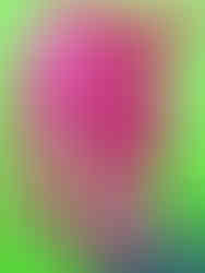 E. C. Kanko, Loud Lamb, painting of a hot pink lamb