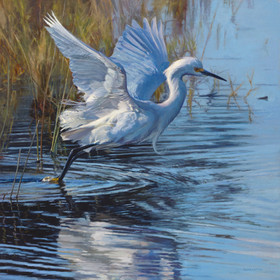 Susan Munderich