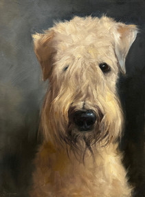 Suzanne Sheran, Maggie, contemporary realism art of a shaggy dog
