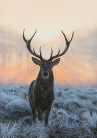 Élizabeth Laflamme, stag deer painting