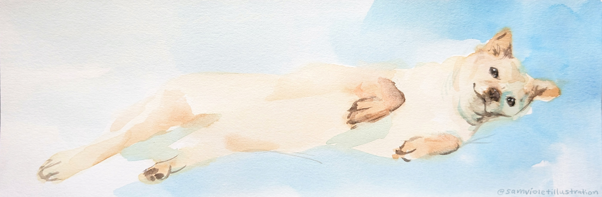 Comfort, Sam	Violet