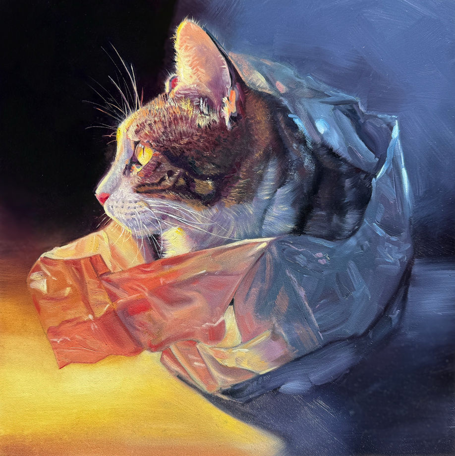 Sheltered, by Michelle Delanty, This painting shows my sweet Vanilla Bean in one of her favorite places – sheltered and safe in a plastic bag
