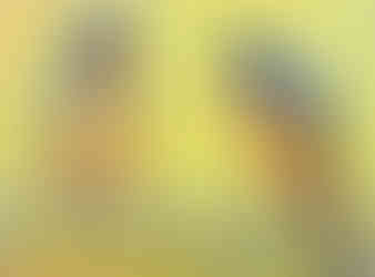Ruffling Feathers, by Lucy Chambers, is a painting of 2 birds on barbed wire shout-chirping at each other