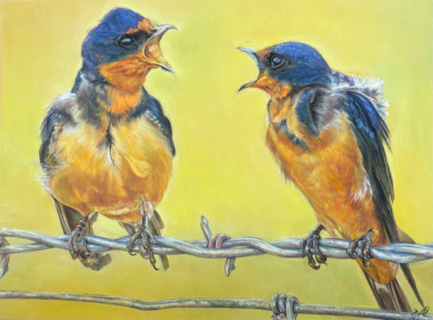 Ruffling Feathers, by Lucy Chambers, is a painting of 2 birds on barbed wire shout-chirping at each other