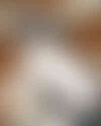 Hopper, by E. C. Kanko, is a realistic painting of a black and white cat on a Navajo rug with a composition nicely based in geometry