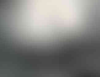 John Wissler, deer art