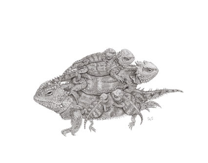Sienna Van Slooten, reptile drawing