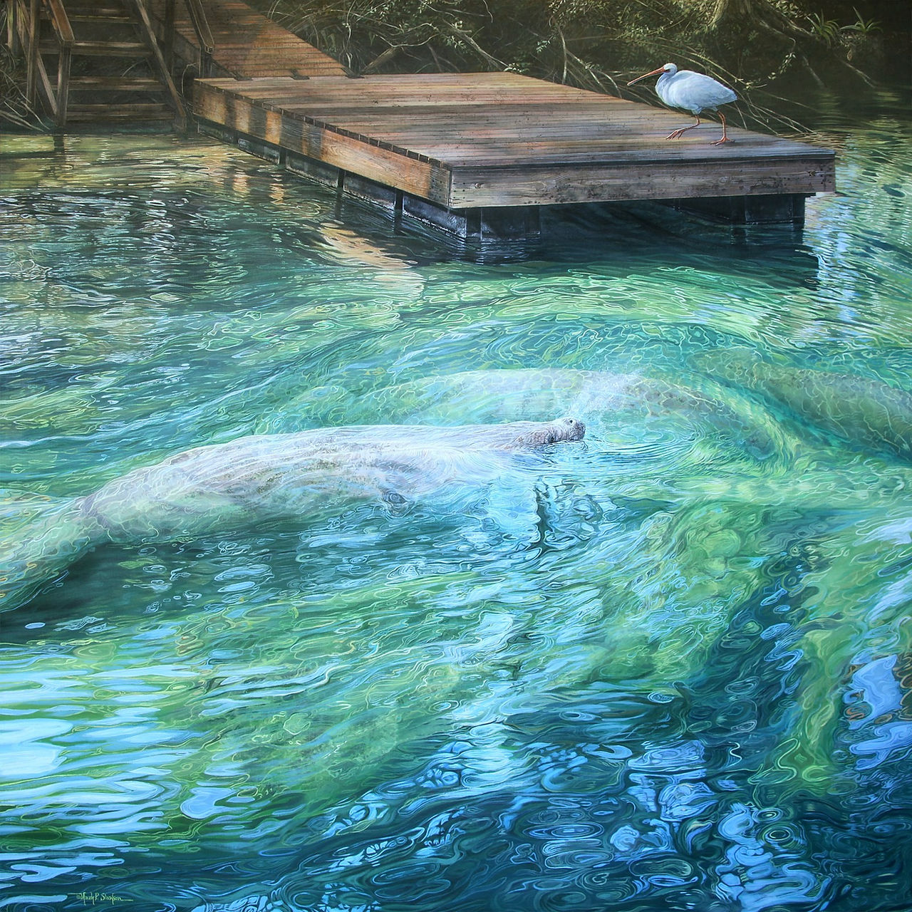 Mark Slawson, When Gentle Waters Speak. Painting of a manatee