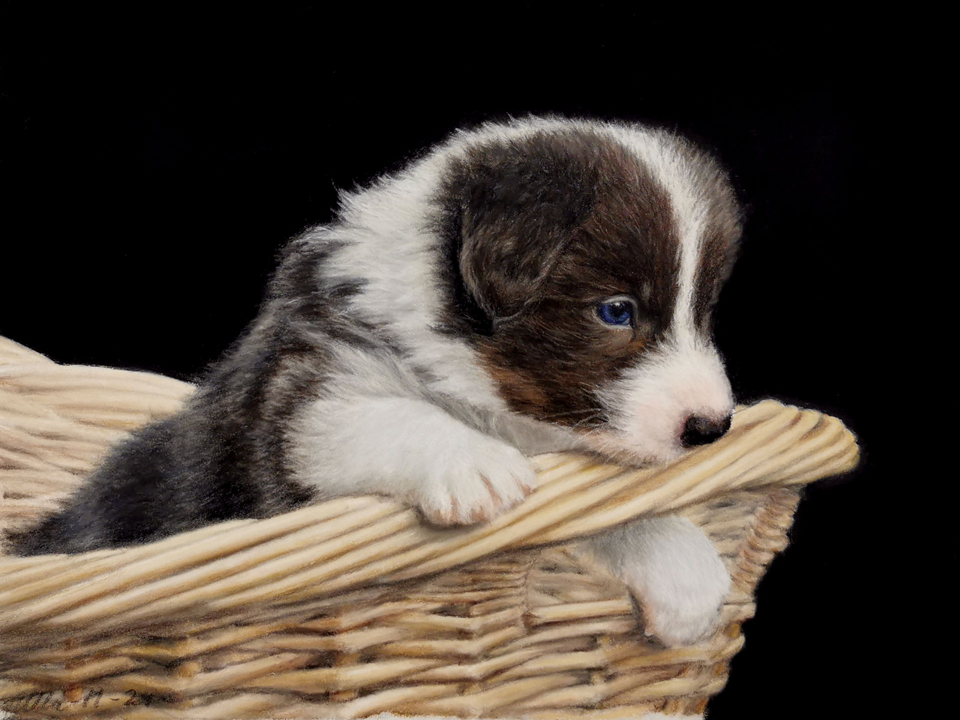 Ulla Muchardt, puppy painting