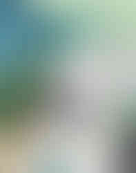 Sophie Brouillet, That Love That Lasts Forever, contemporary painting of a white dog