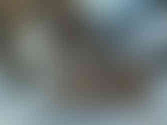 Karla Mann, The Alpha18, captivating painting of a wolf in snow