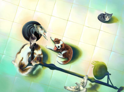 Magdalena Augustin, dramatic artwork in technicolor of dogs and pigeons