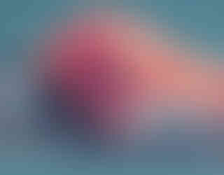 Lisa Kirschman, vibrant dog painting