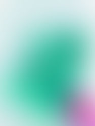 Nicole Hanusek, colorful dog portrait