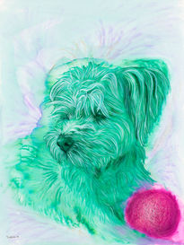 Nicole Hanusek, colorful dog portrait