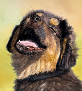 Natasha Lazareva, happy dog portait