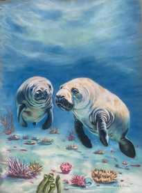 Manatees, by Michele Cauchon