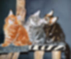 Maine Coon Row, by Cher Pruys, photorealistic painting of three cats sitting on scratching posts
