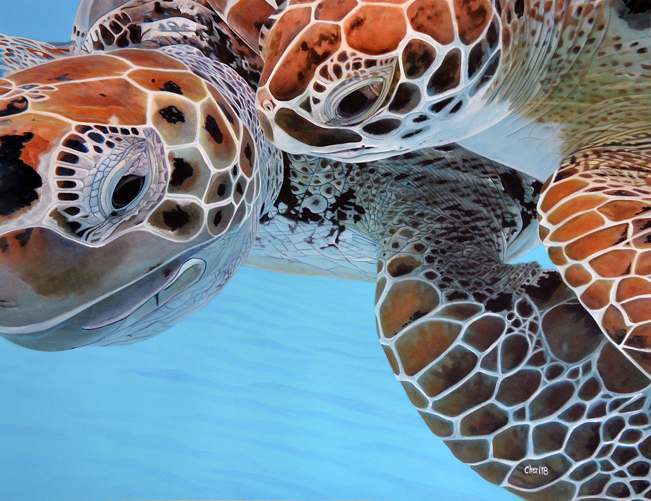 Cher Pruys, sea turtle paintin
