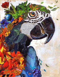 Suzy Engelman Block, macaw collage