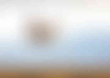 Untitled (Bird in Flight), by Michael Potts, photograph of a flying crane
