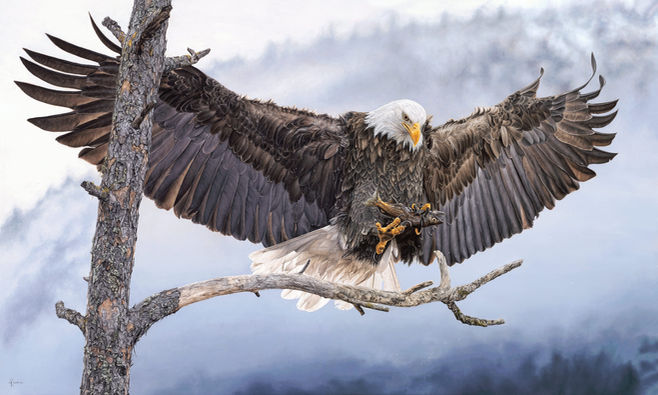 Holly Kavonic, talons, eagle painting
