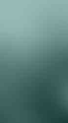 Luisiana Spider Web, by Luisa Ruiz. Artword of a close up of a spiderweb beaded with water droplets.