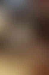 Patty Bailey Sheets, painting of a cat with furniture