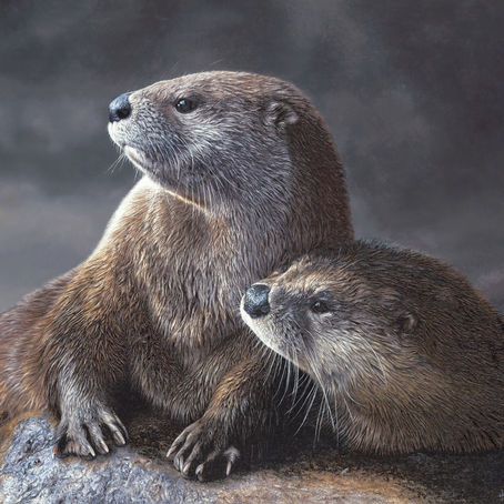Silver Lining, by Holly Kavonic, realistic painting of two otters
