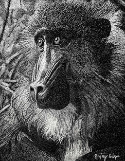Britney Gibson, stippled monkey drawing