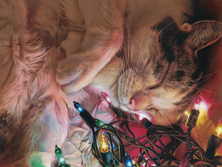Hyperrealistic art by Meg Merry of a cat sleeping with pixie lights
