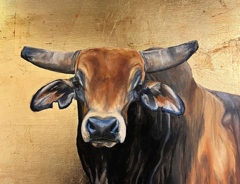 Ashley Pennington, moody steer with a gold background