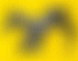 Julie Freund, Dandy, painting of black foal standing for the first time