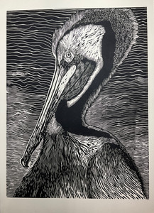 Ted Shaine.	Pelican