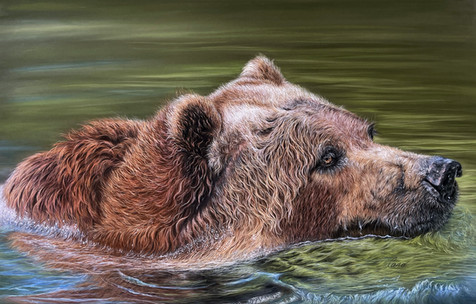 Caroline Tremblay, bear swimming artwork