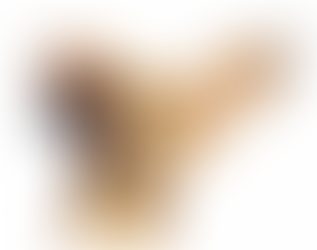 Khrystyna Khristianova, Rocky, art of a humorous dog