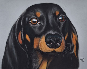 Janet Whitehead, Dachsund