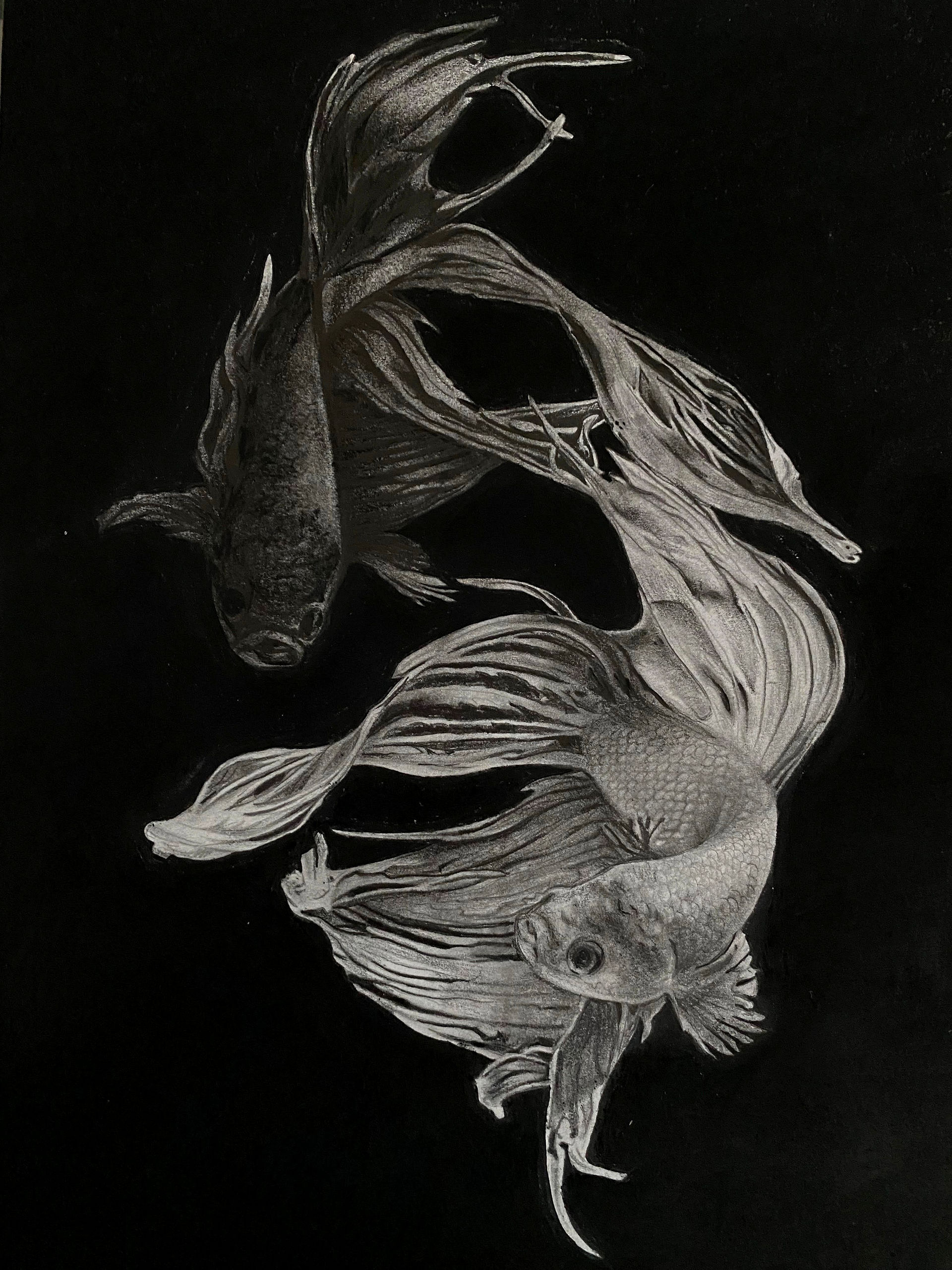 Balance in Water, by Swaroop Ashok. Black and white artwork of two beta fish swirling fins around each other.