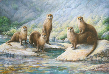 Lynn Haste, soft and charming art of otters