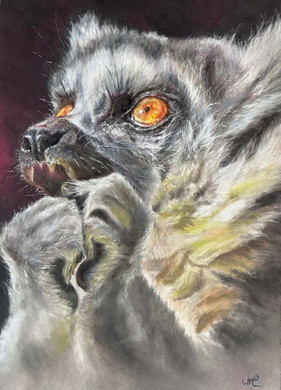 The Horror Of It All, by Lucy Chambers, is an emotive artwork of a lemur