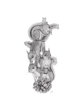 Sienna Van Slooten, squirrel drawing